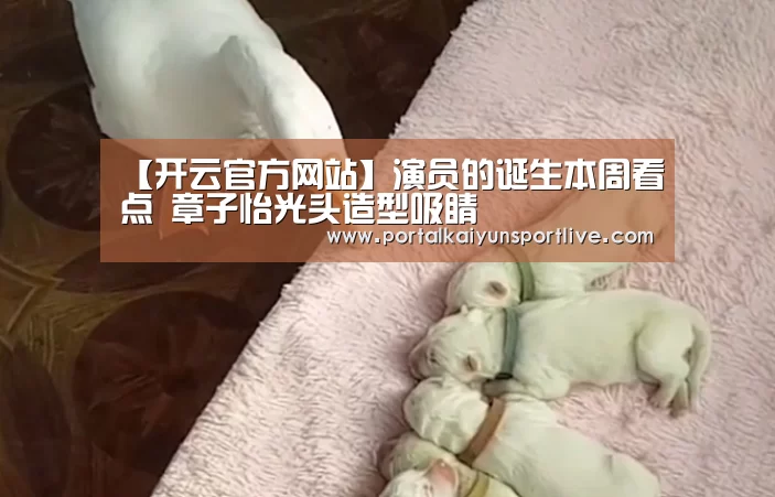 【开云官方网站】演员的诞生本周看点 章子怡光头造型吸睛(图1) 开云体育官网