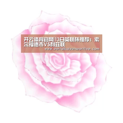 开云体育官网|13日英联杯推荐:索尔福德市VS利兹联(图1) 开云即时比分