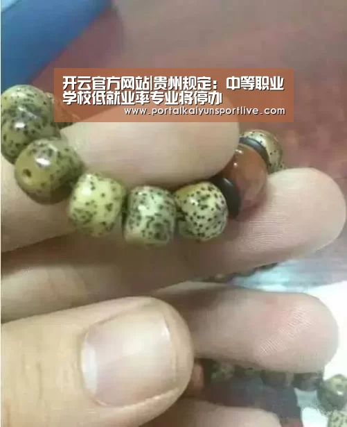 开云体育官网