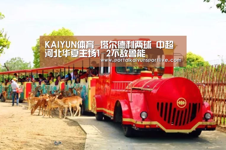 KAIYUN体育-塔尔德利两球 中超河北华夏主场1-2不敌鲁能(图4) KAIYUN体育