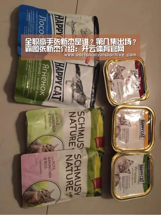 全职高手张新杰是谁?第几集出场?霸图张新杰介绍:开云体育官网(图2) 开云体育官网